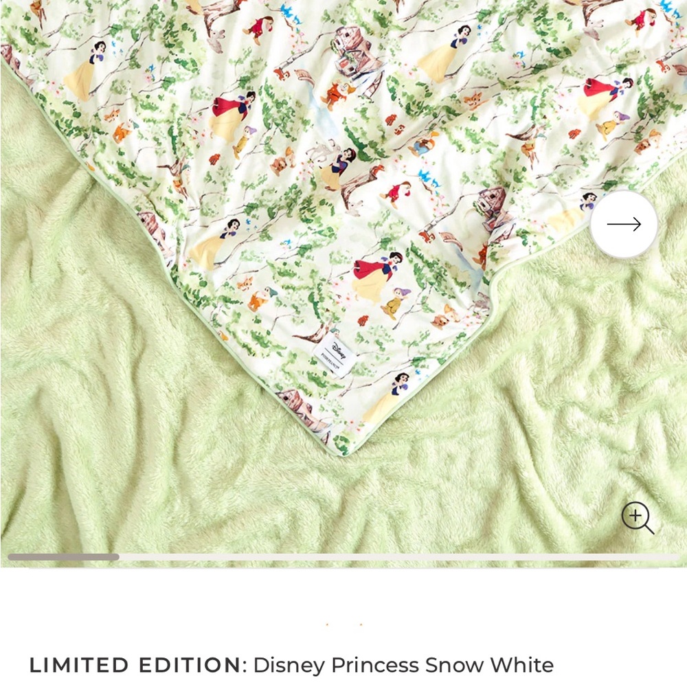 Posh Peanut Disney Princess Blanket - Multicolor
